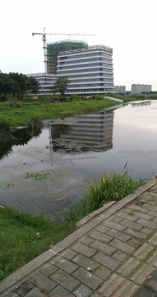 建筑工地 建筑风景 工地 无锡建筑 无锡风景 办公楼 自然景观 建筑景观