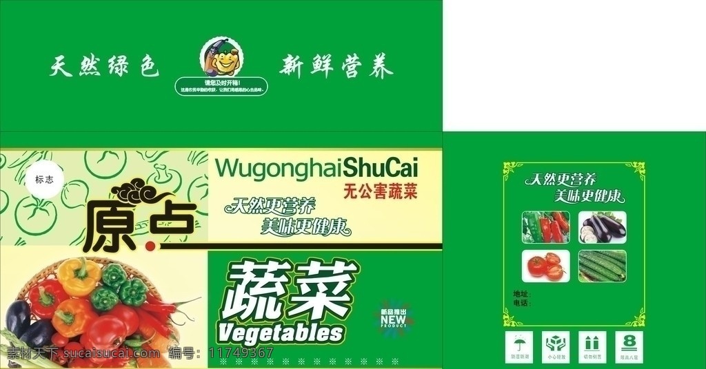 蔬菜包装 蔬菜箱 高清蔬菜 高清适量菜纹 精美花纹 包装设计 矢量