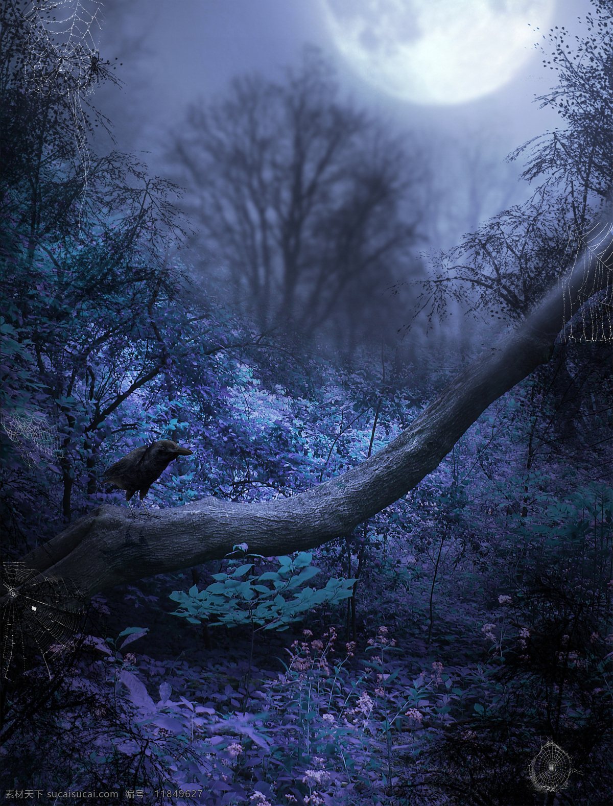 梦幻 自然 童话 唯美 大自然 森林 草地 朦胧 夜景 树枝 乌鸦 诡异 山水风景 风景图片