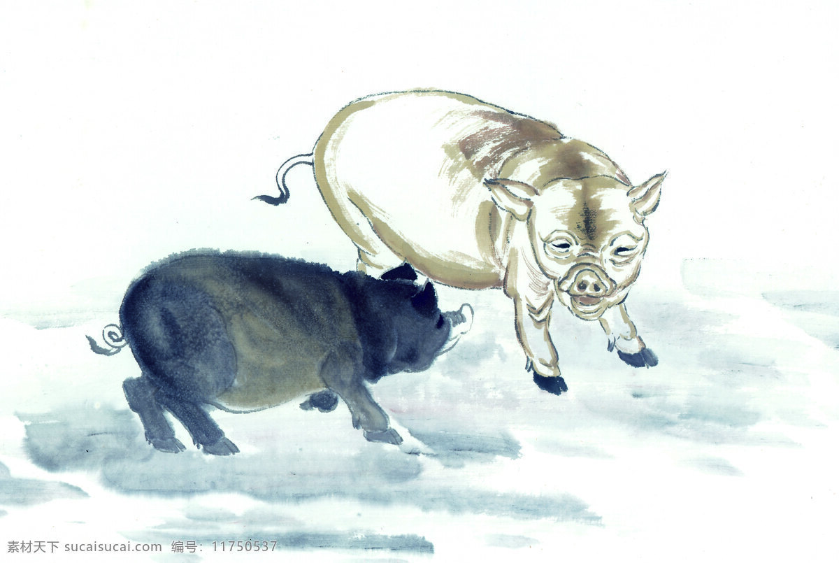 十二生肖猪 生物世界 野生动物 十二生肖 摄影图库