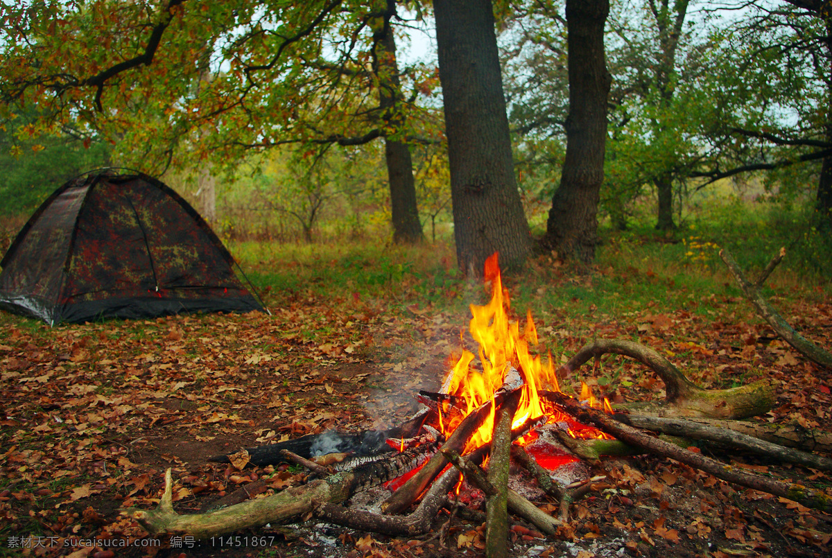 露营 帐篷 篝火 野营 大自然风光 火焰 树林 落叶 其他类别 生活百科 黑色