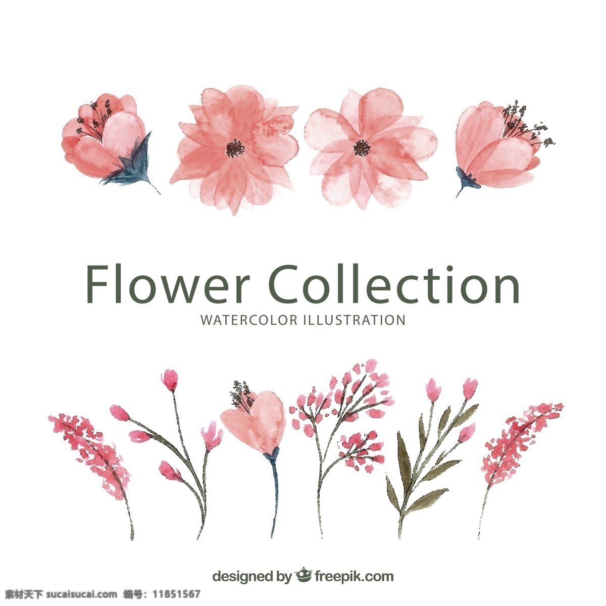 水彩 绘 粉色 花卉图片 花卉 矢量图 格式 矢量 高清图片