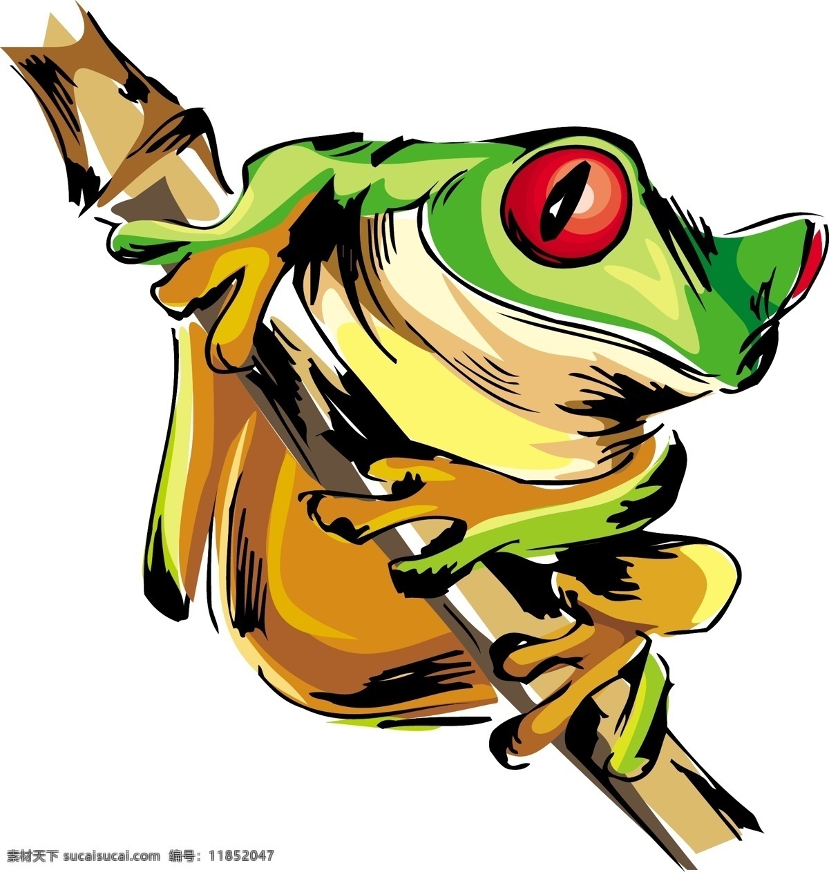 青蛙2 媒介动物 青蛙 白色