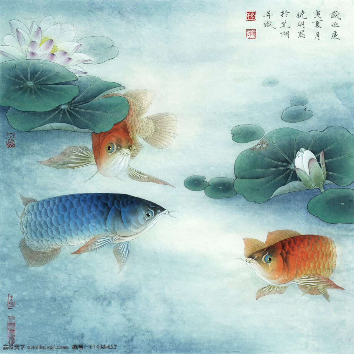 睡莲金龙鱼 花鸟画 设计素材 花鸟画篇 中国画篇 书画美术 青色 天蓝色