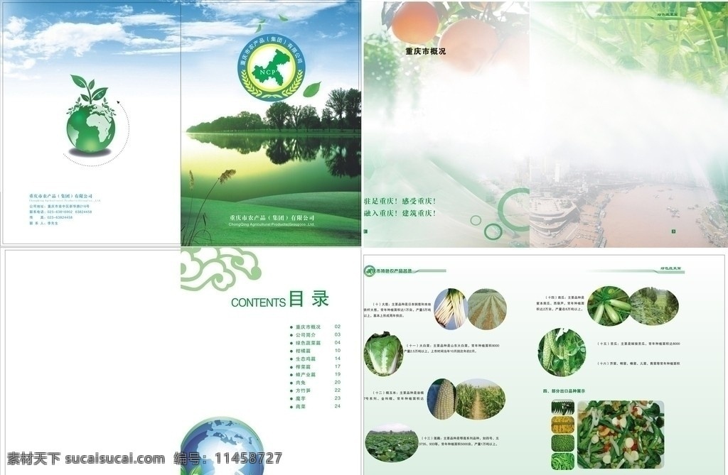 农产品画册 农产品封面 画册设计 矢量