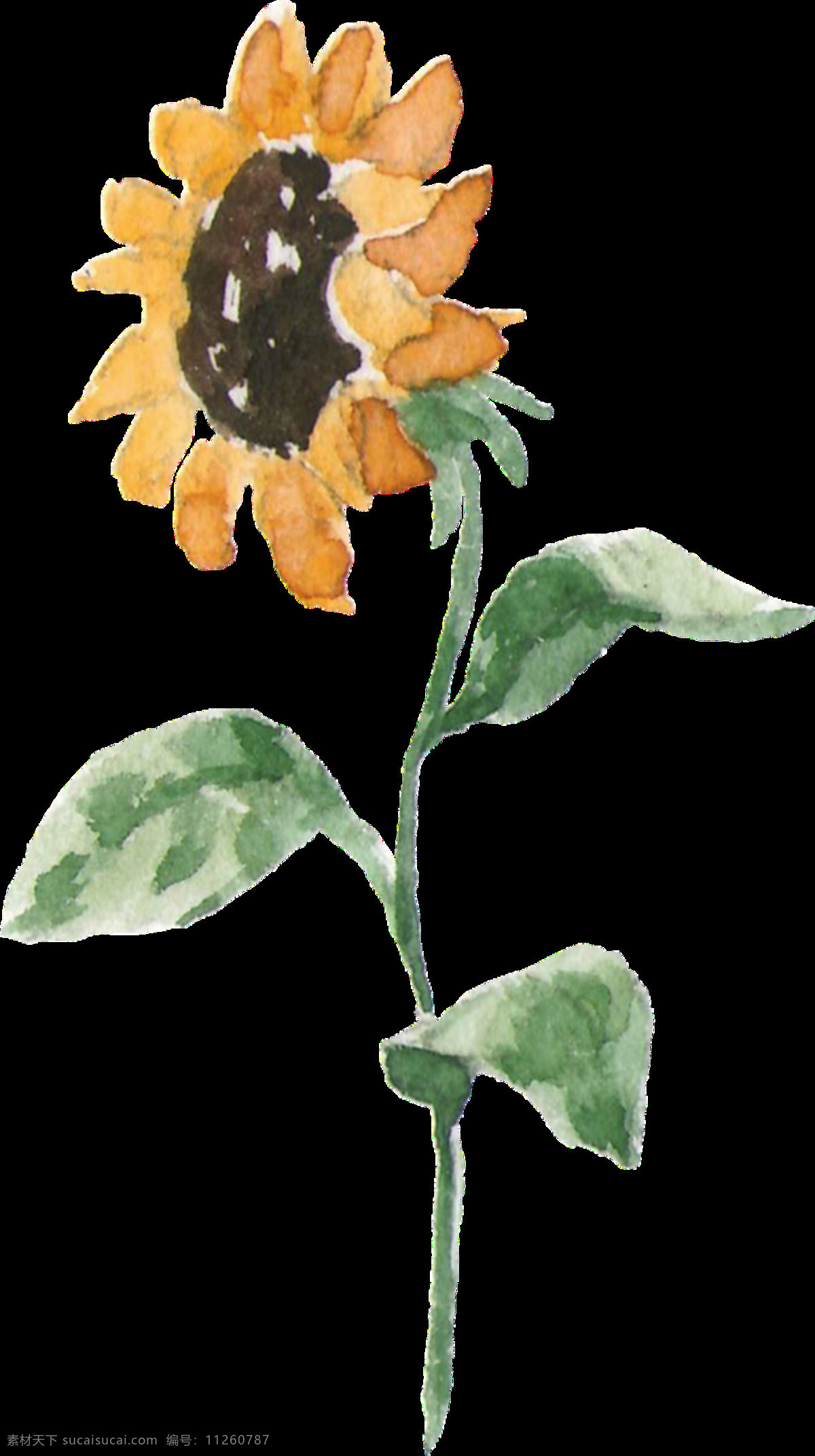 手绘 简 笔画 向日葵 装饰 图案 太阳花 向阳花 葵花籽花 叶子