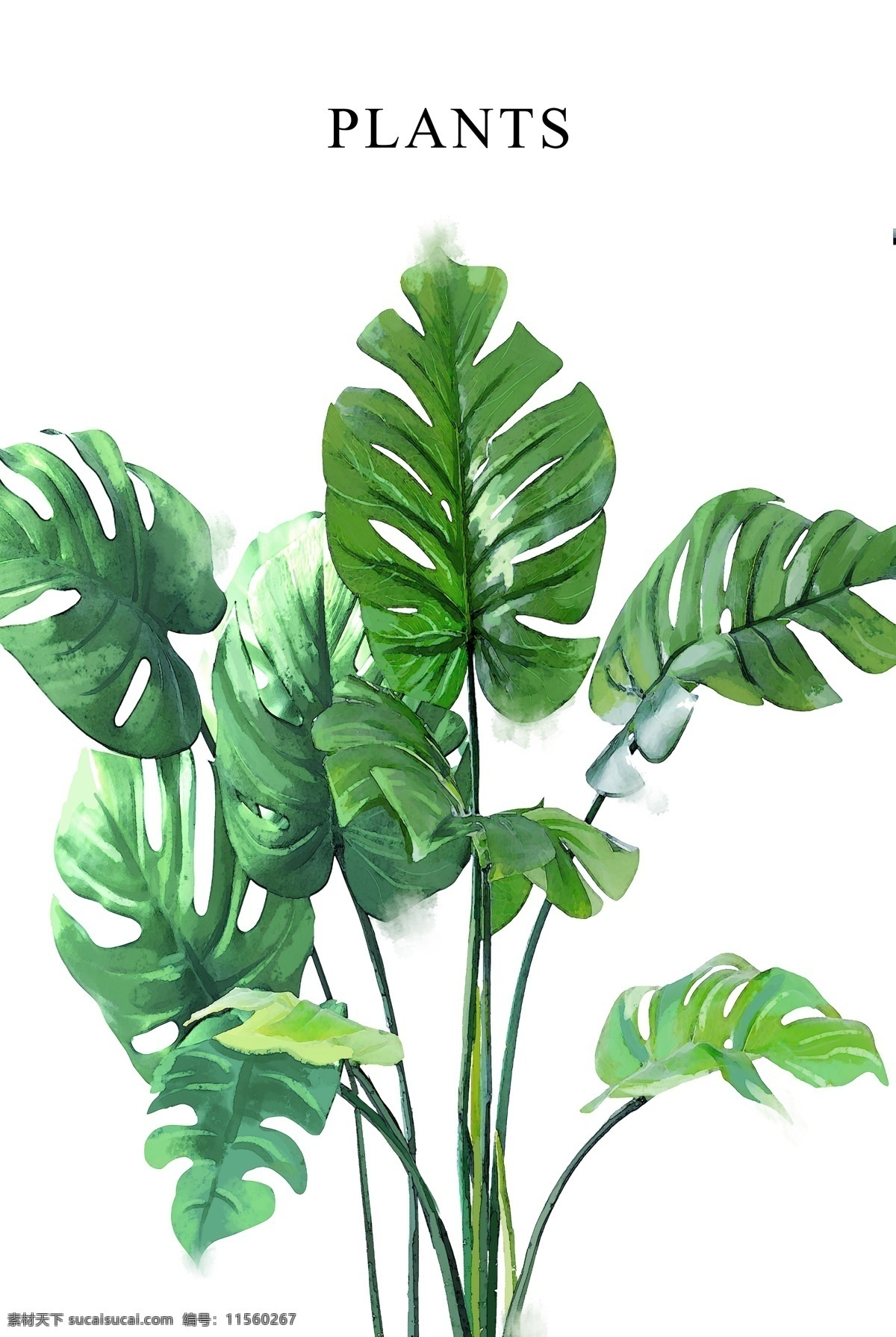 水彩 北欧 绿植 现代 简约 手绘 装饰画 底纹边框 背景底纹