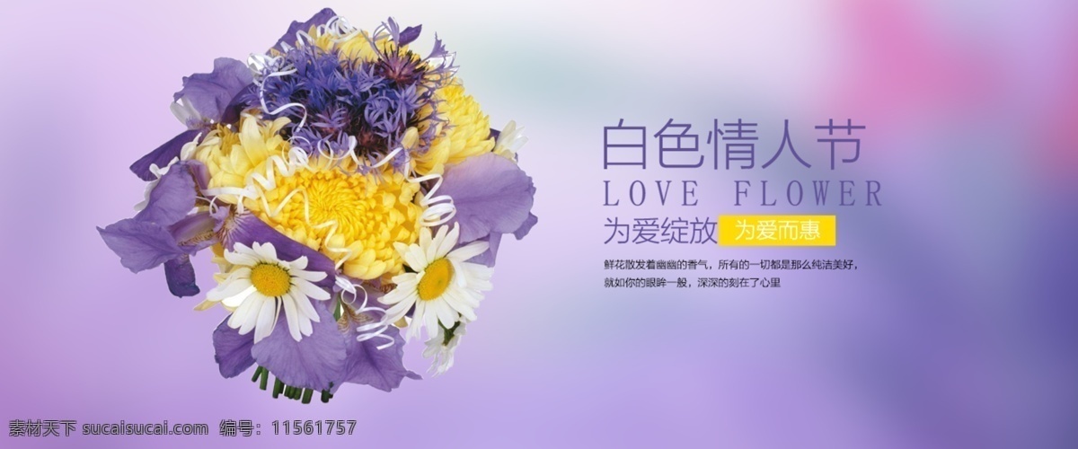 情人节 banner 白色情人节 鲜花 为爱 绽放