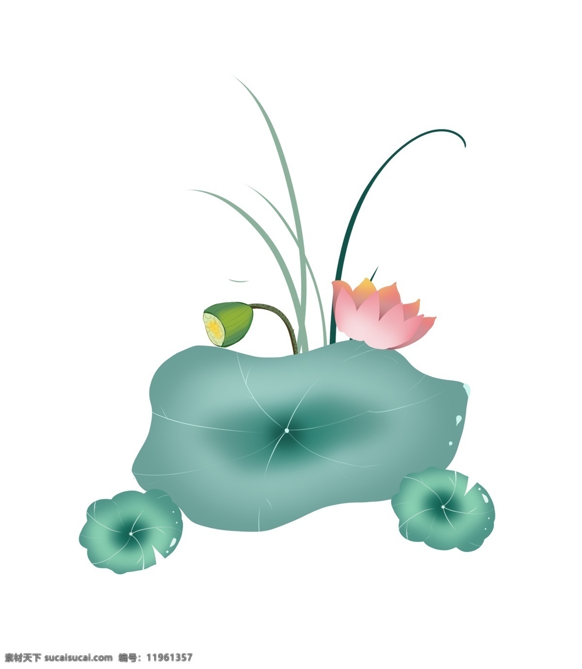 唯美 的卡 通 荷花 插画 精美 盛开的花朵 植物 花卉 荷花插画 卡通植物插画 创意荷花
