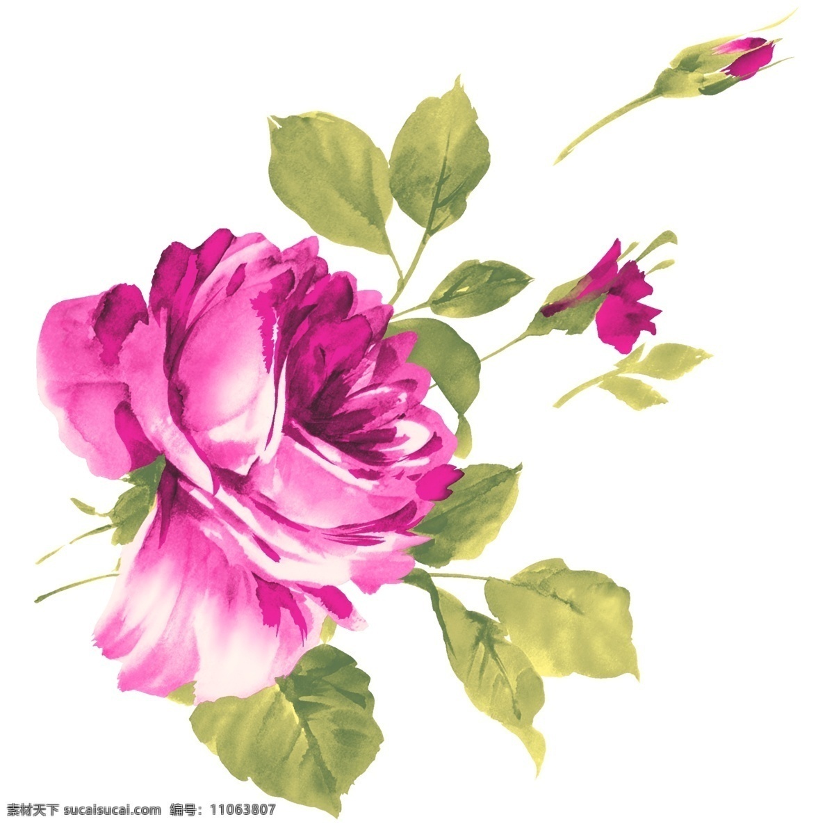 手绘花 花朵 玫瑰花 水彩手绘 印花 设计素材 手绘 花卉 水彩 文化艺术 绘画书法