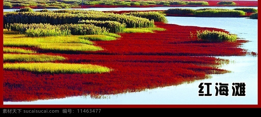 红海滩 盘锦 旅游 旅游摄影 盘锦风光 自然风景 摄影图库 自然景观