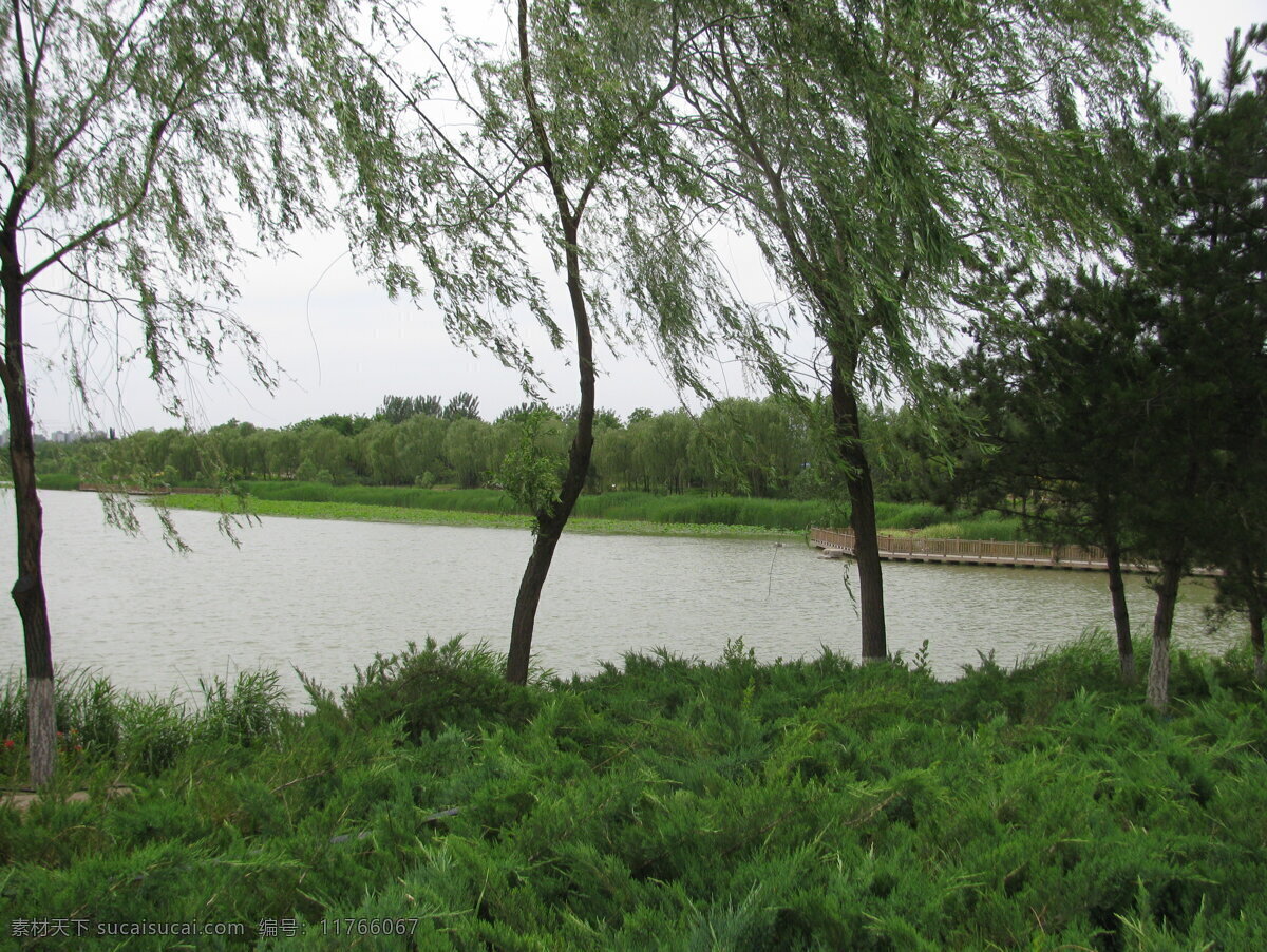 南海子风景 南海子美景 园林美景 柳树 湖水 湖畔 绿化景观 郊野公园 树木 绿地 草地 花草 园林景观 园林风景 建筑园林 园林建筑