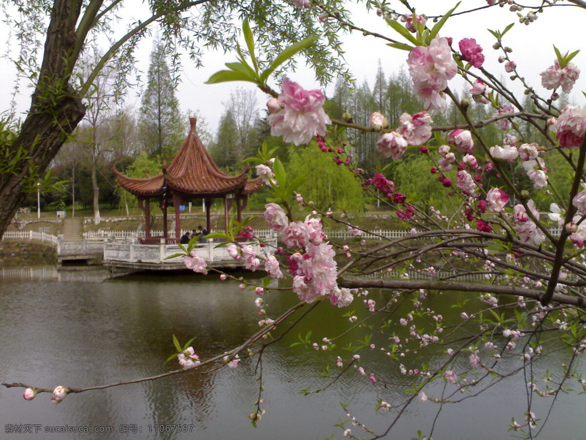 湖水 公园 美图 旅游摄影 梅花 人文景观 摄影图 亭台 风景 生活 旅游餐饮