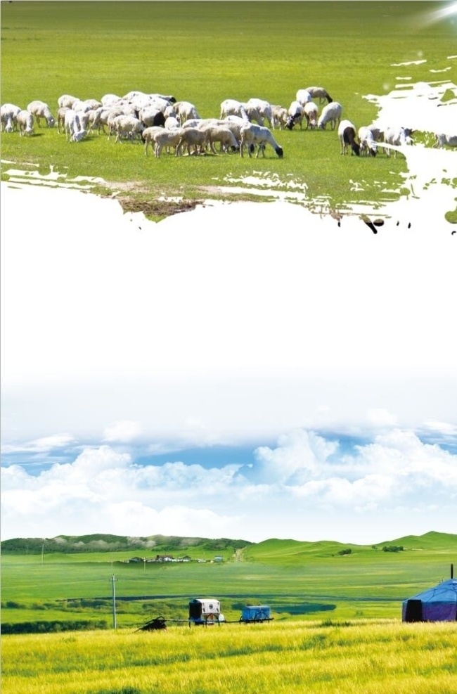 草原背景 牛 羊 蒙古包 森林 蓝天白云 草原海报 草原展板 蒙古元素 展板模板