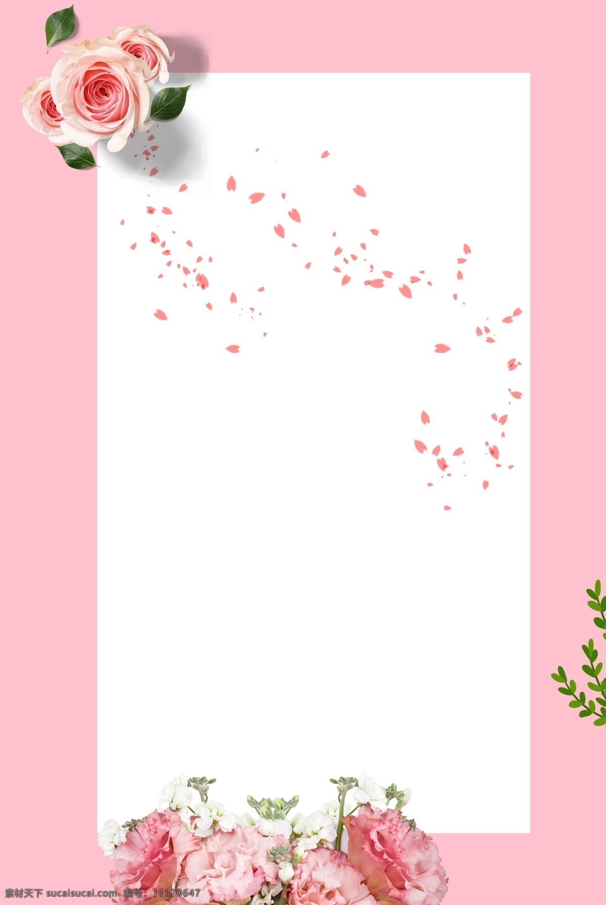 浪漫 鲜花 粉色 背景 简约 花瓣 树枝 白框