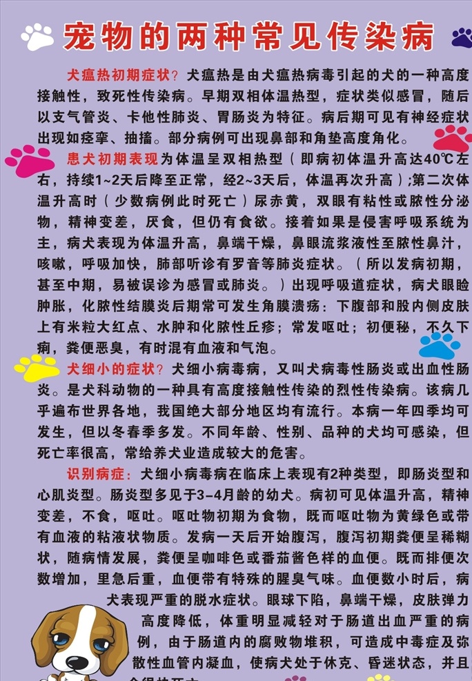 狗狗海报 狗 养生 宠物 狗狗展板 宠物海报