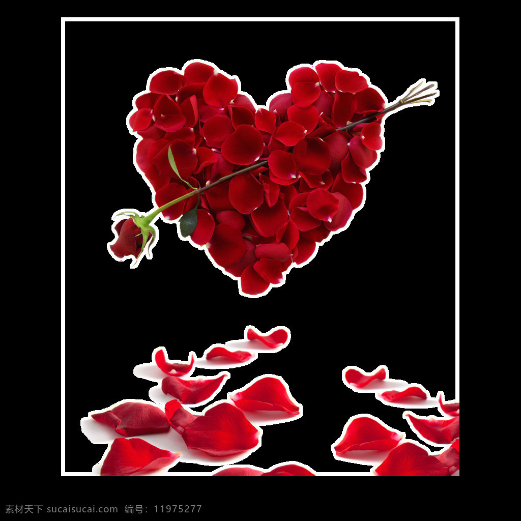 浪漫 红色 心形 花瓣 元素 唯美