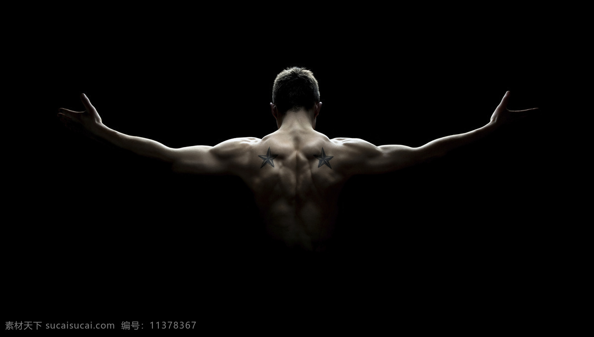男性 背部 肌肉 强壮男人 肌肉男 健美身材 健身 猛男 强壮肌肉 背部肌肉 男人图片 人物图片