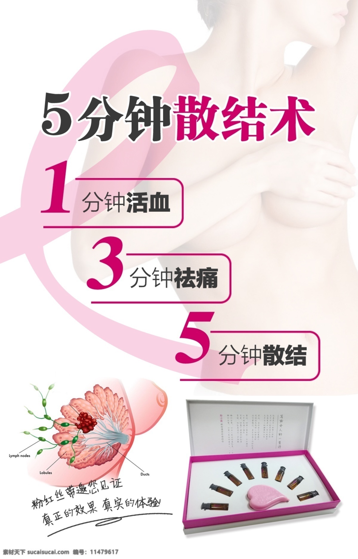 粉红丝带 预防乳房疾病 海报 养生海报 宣传单 宣传画 乳房散结 保护女性