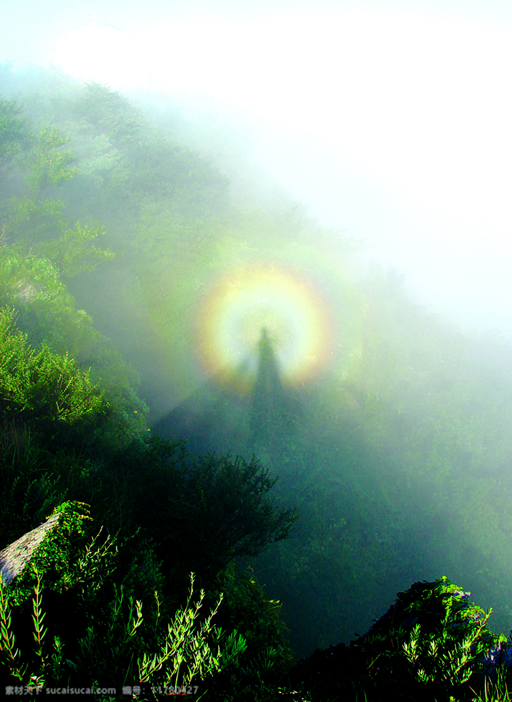 花果山佛光 佛光 旅游摄影 国内旅游 风景 摄影图库 300