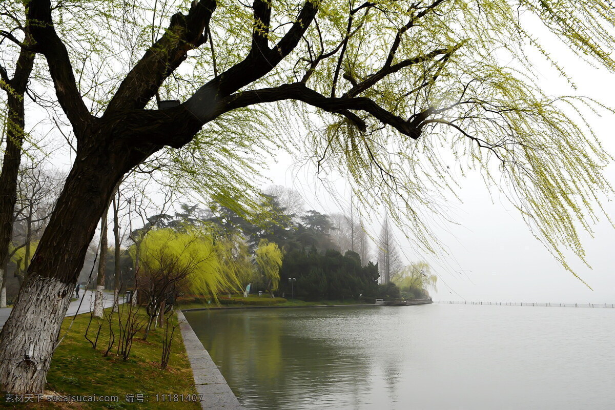 南京 玄武湖 公园 风景
