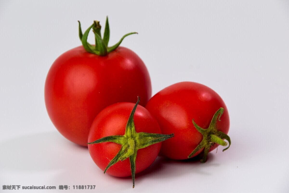 三 颗 红色 西红柿 番茄 红番茄 红色西红柿 新鲜西红柿 新鲜 食物 食品 食材 果蔬 蔬菜 新鲜果蔬 生物世界