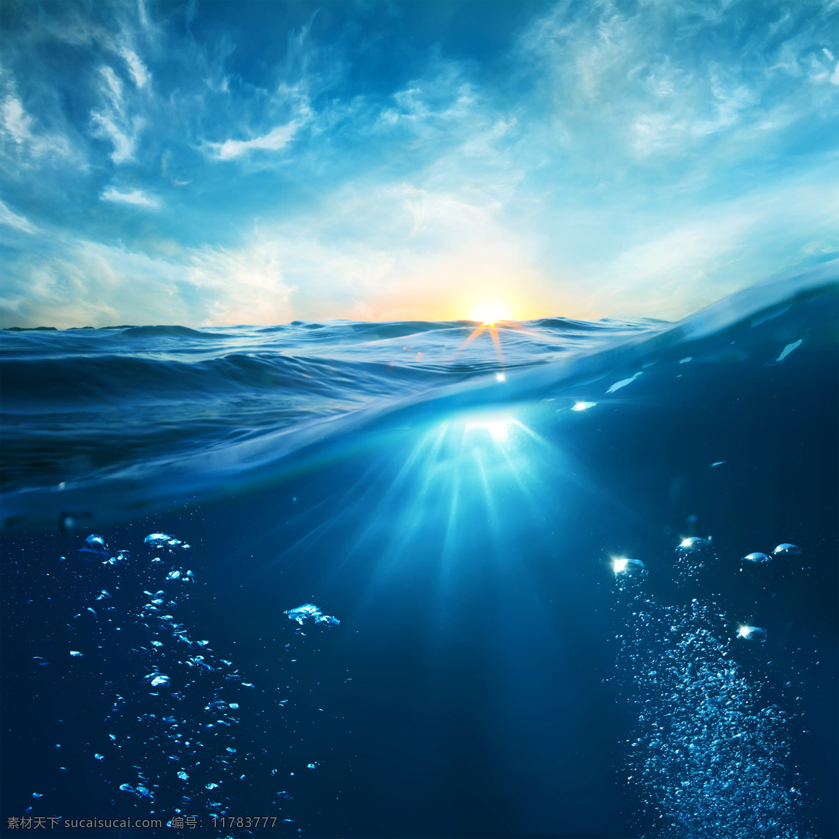 海底 里 生物 大海风景 海洋风景 海面风景 海水 海洋海边 大海图片 风景图片