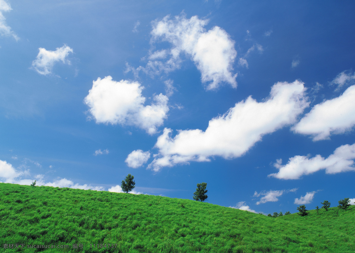 蓝天 白云 草地 野外 山坡 绿树 树木 绿色大地 风景 图像 相片 照片 照相 风景图库 高清大图 蓝天白云 风景图片