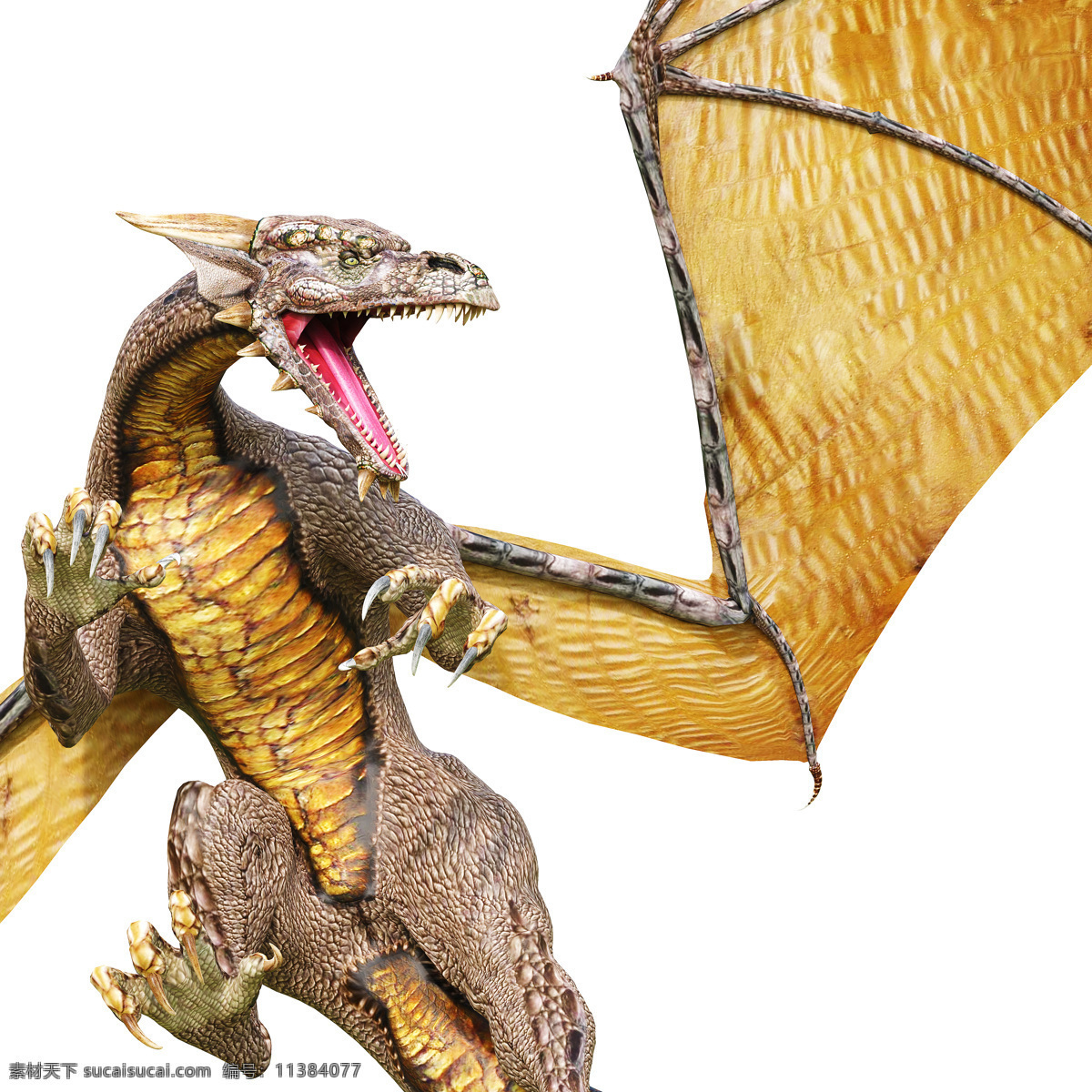 龙模型 远古生物 尖牙利爪 血盆大口 凶残 最大的掠食者 3d模型 3d作品 空中飞鸟 生物世界 白色