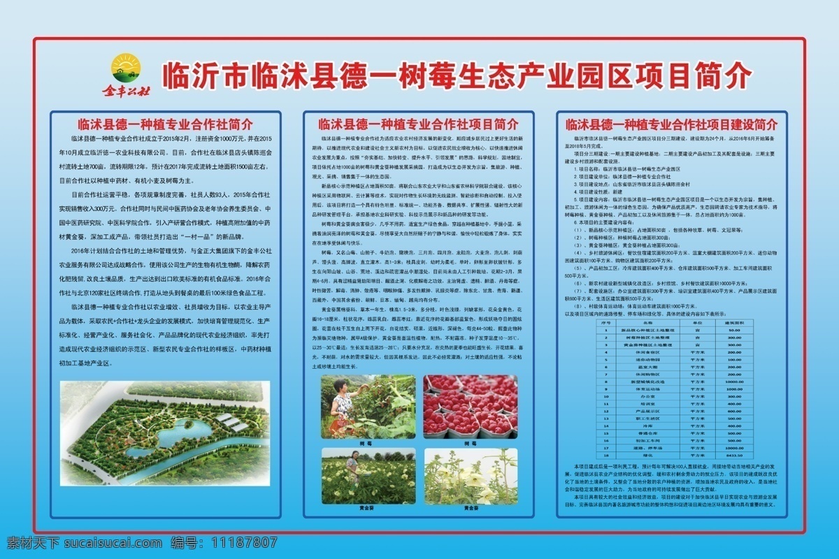 德 树莓 项目 公示 金丰 公社 logo 项目简介 黄金葵 树莓采摘 室外广告设计