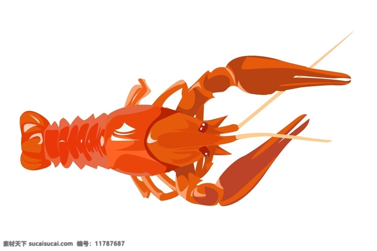 爬行 小 龙虾 插画 爬行的龙虾 卡通插画 动物插画 龙虾插画 深海龙虾 淡水龙虾 大大的蟹钳