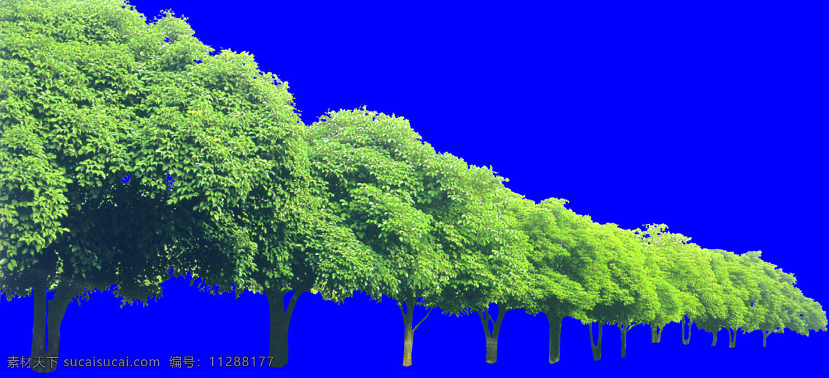 棵 树群 065 植物 园林植物 多棵 配景素材 园林 建筑装饰 设计素材 3d模型素材 室内场景模型