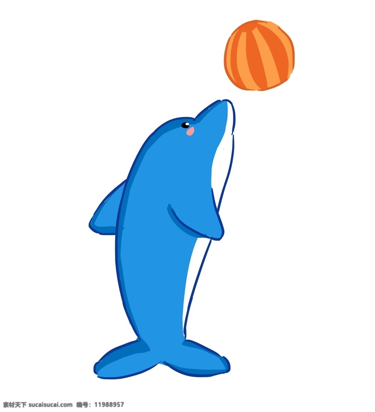 夏日 海洋 海洋馆 水族馆 海豚 顶球 免 扣 海豚顶球 顶球的海豚