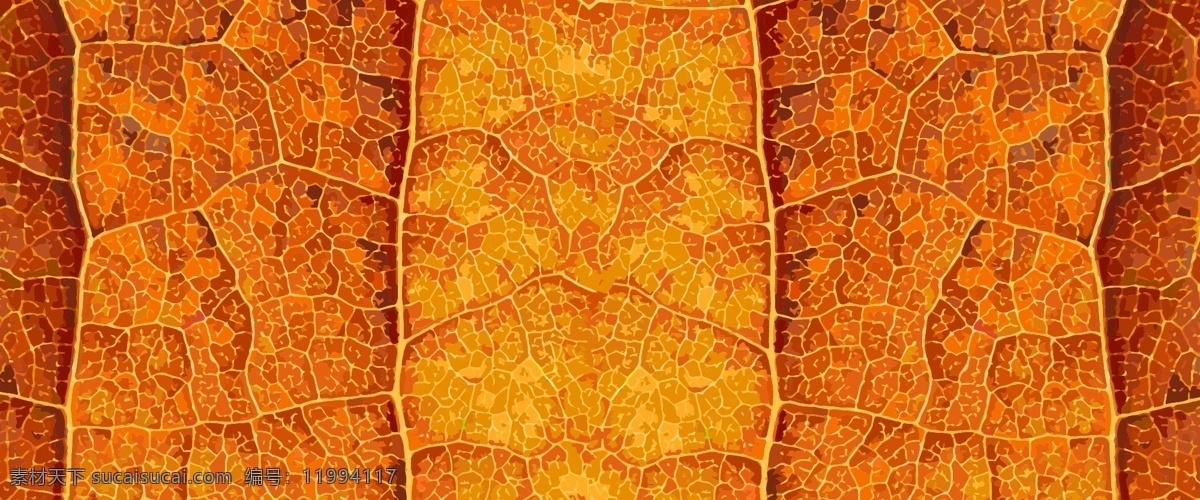 秋季 树叶 叶脉 矢量 纹理 海报 banner 黄叶 树叶纹理 质感