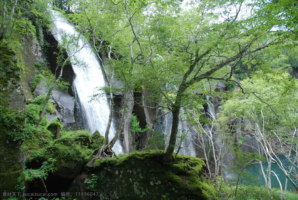 长白山瀑布 原始森林 自然景观 生态园林 绿树 瀑布 山水风景