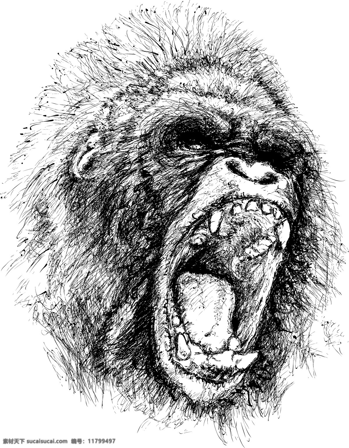 猩猩 黑白头像 生物世界 野生动物 矢量图库