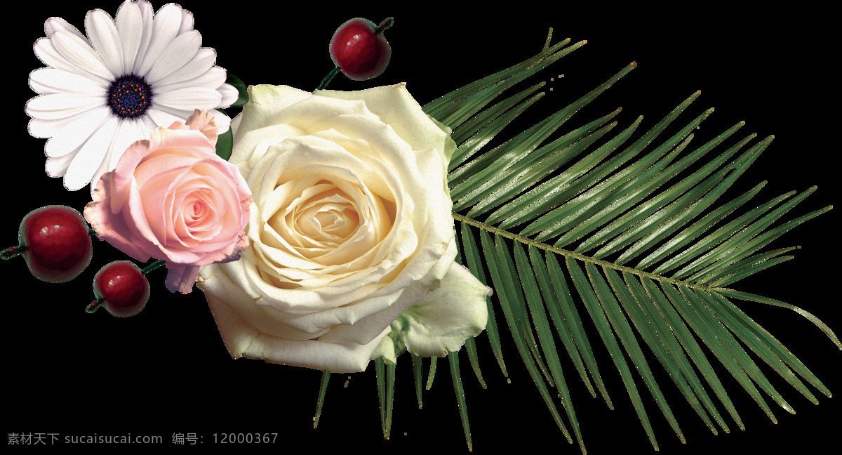 手绘 简洁 搭配 花边 透明 白色 菊花 玫瑰花 米黄色 免扣素材 透明素材 植物 装饰图片
