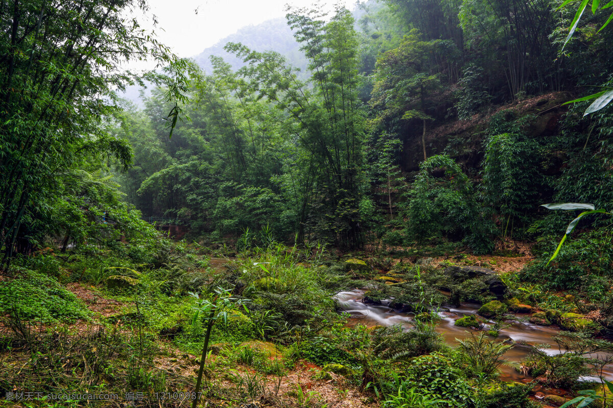 贵州 赤水四洞沟 山溪 瀑布 丹霞石 翠竹繁茂 林木葱茏 万竹之园 风景名胜区 自助游 国内旅游 旅游摄影