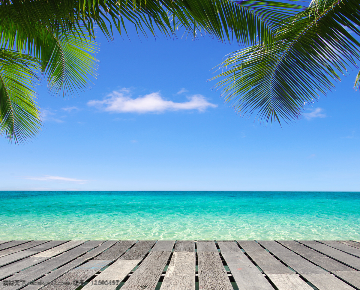 白云 大海 海边 海滩 蓝天 树木 椰树 热带 热带海滩 风景 椰子 自然风景 自然景观 自然 景色 高清 psd源文件