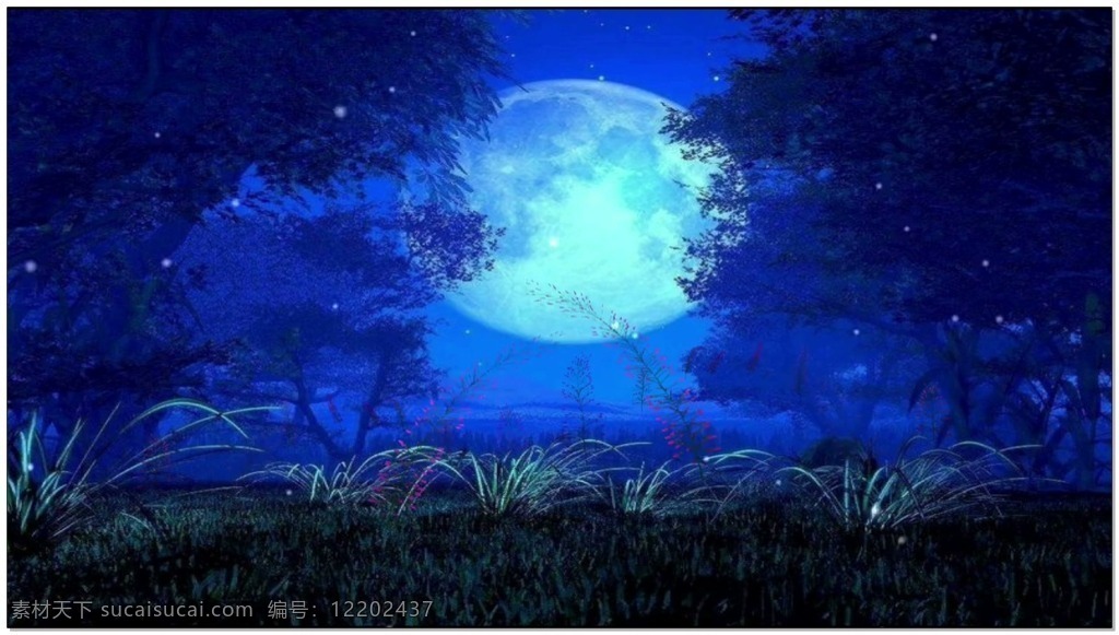小草背景素材 高清视频素材 视频素材 动态视频素材 蓝色 月亮 小草