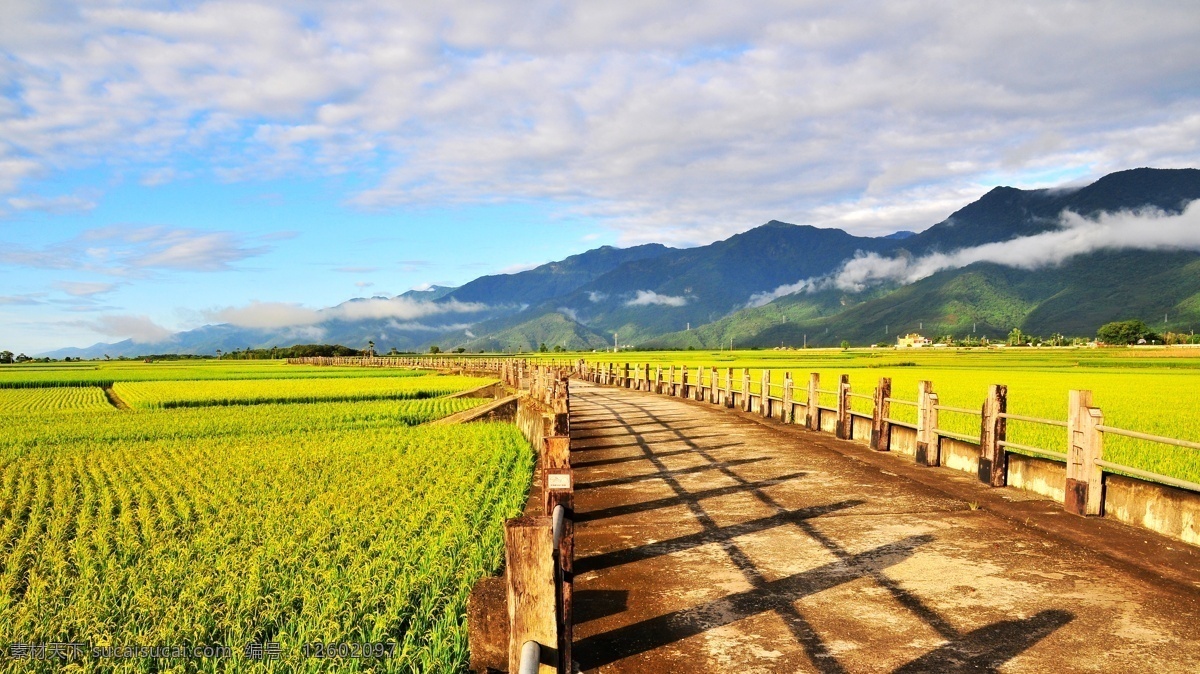 金秋草原 金秋 田野 路 蓝天白云 远山 自然风景 自然景观