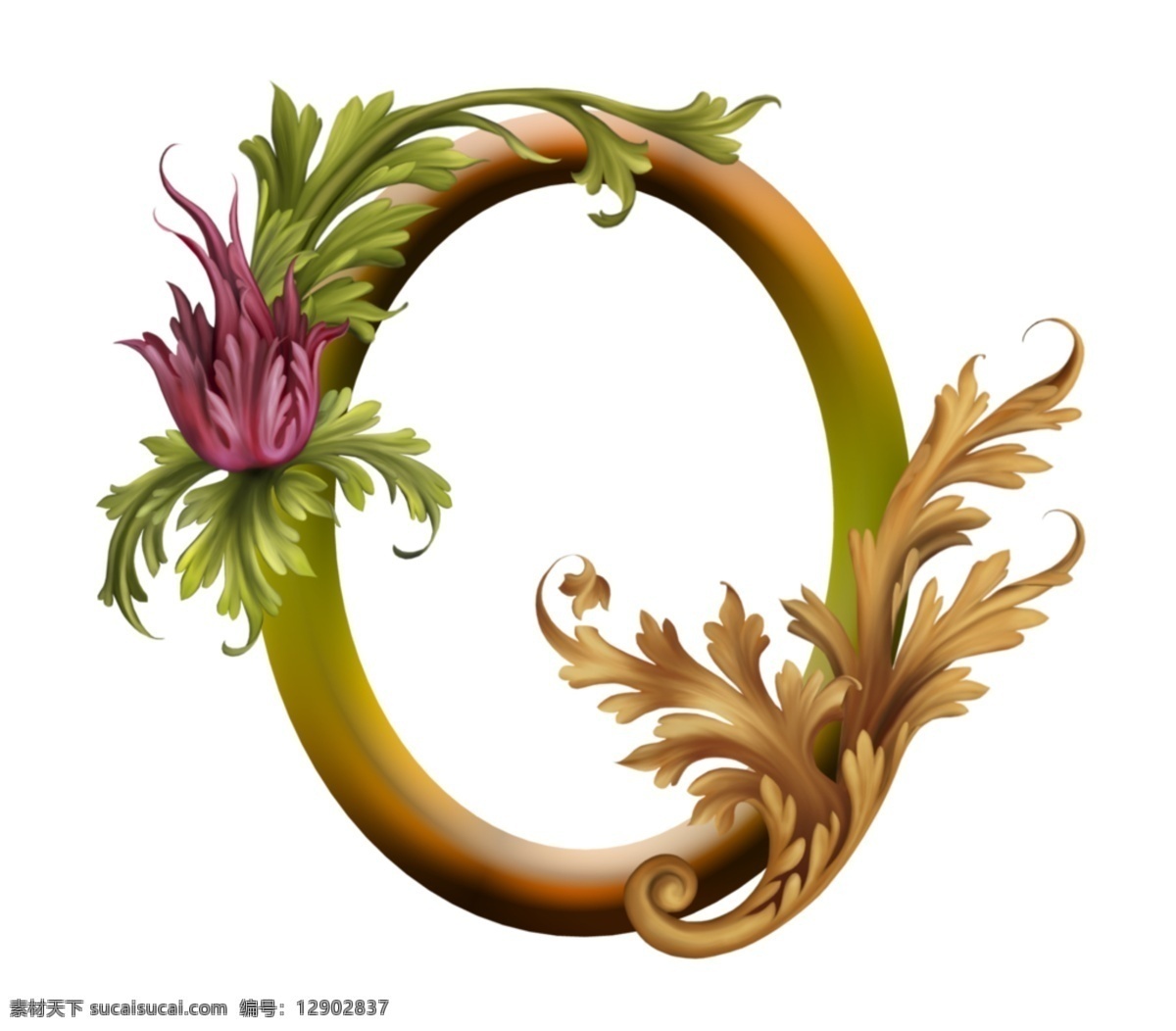 椭圆 手绘 花卉 边框 免 抠 透明 花边 装饰 图形 花卉花边图形 花卉边框素材 花卉镜框素材 花卉相框