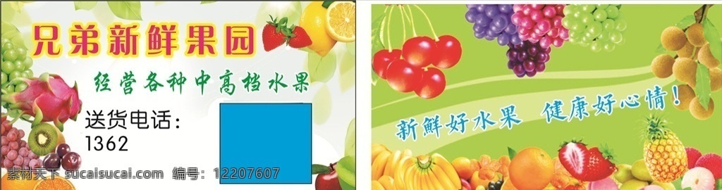 水果名片 水果素材 会员卡 名片 名片卡片