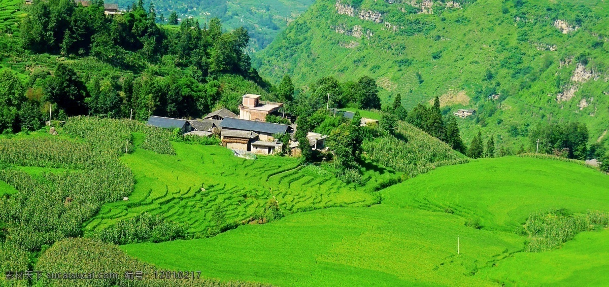 兴隆稻田 山里人家 兴隆 楠木湾 风景 村庄 树林 山村 小村 田园风光 下路 夏天 绿树 瓦房 植被覆盖 兴隆村 山水 乡村 自然景观