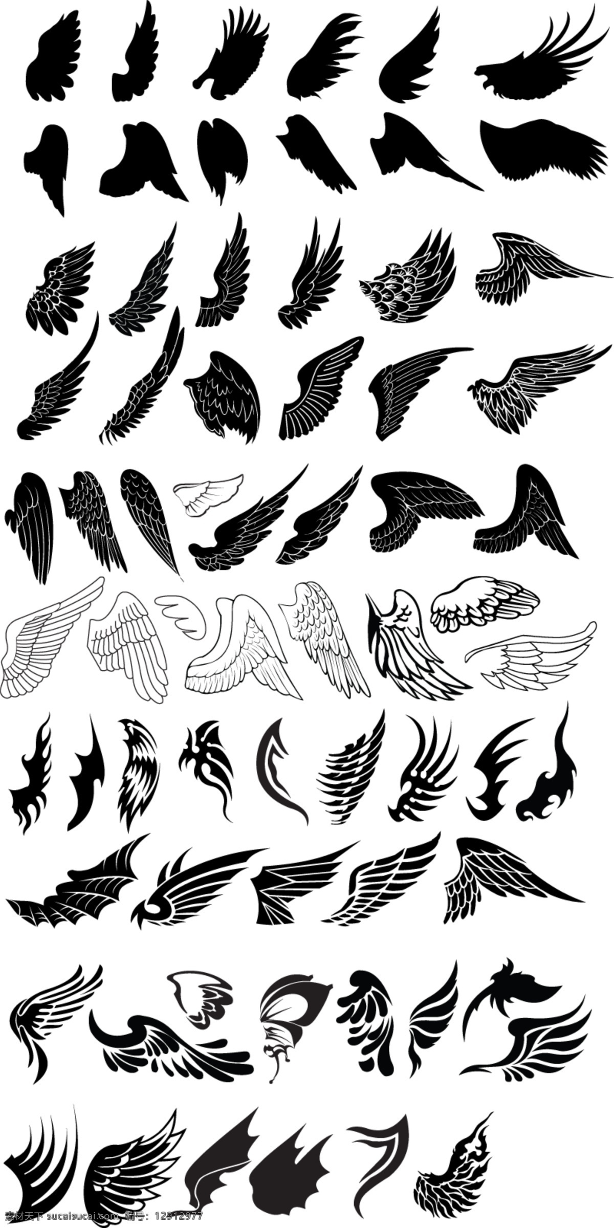 多种 鸟类 翅膀 黑色 鸟 飞鸟 鹰 羽毛 天使 恶魔 钢铁 蝴蝶 生物世界