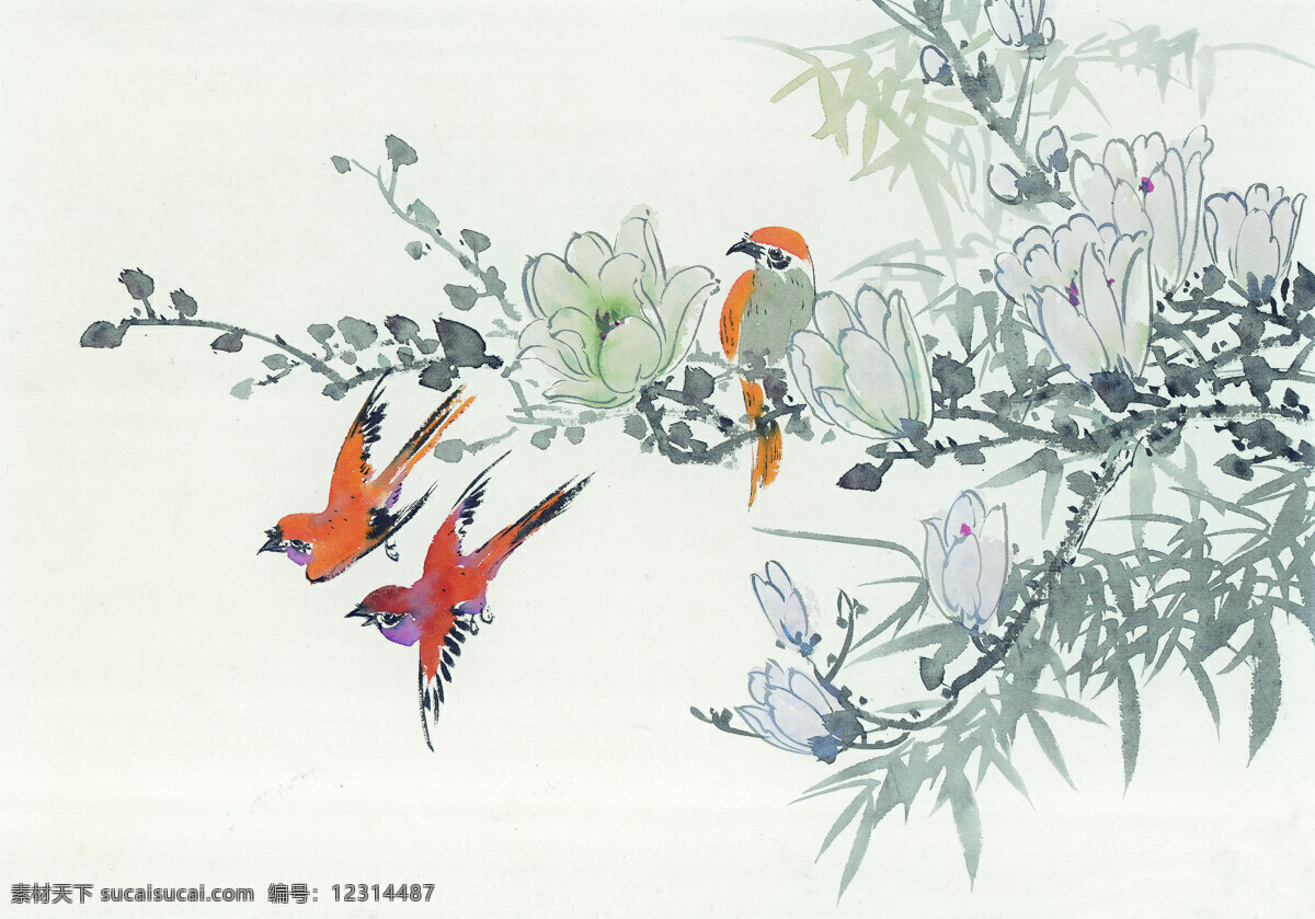 中国 花鸟 绘画 水墨 艺术 中国画 中国花鸟绘画 装饰素材 室内装饰用图
