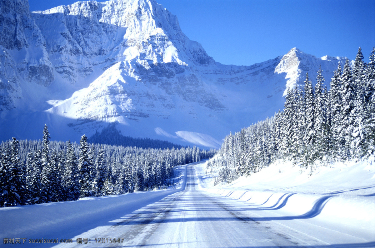 雪山公路 雪山 雪松 雪 公路 雪山脚下公路 自然风景 旅游摄影