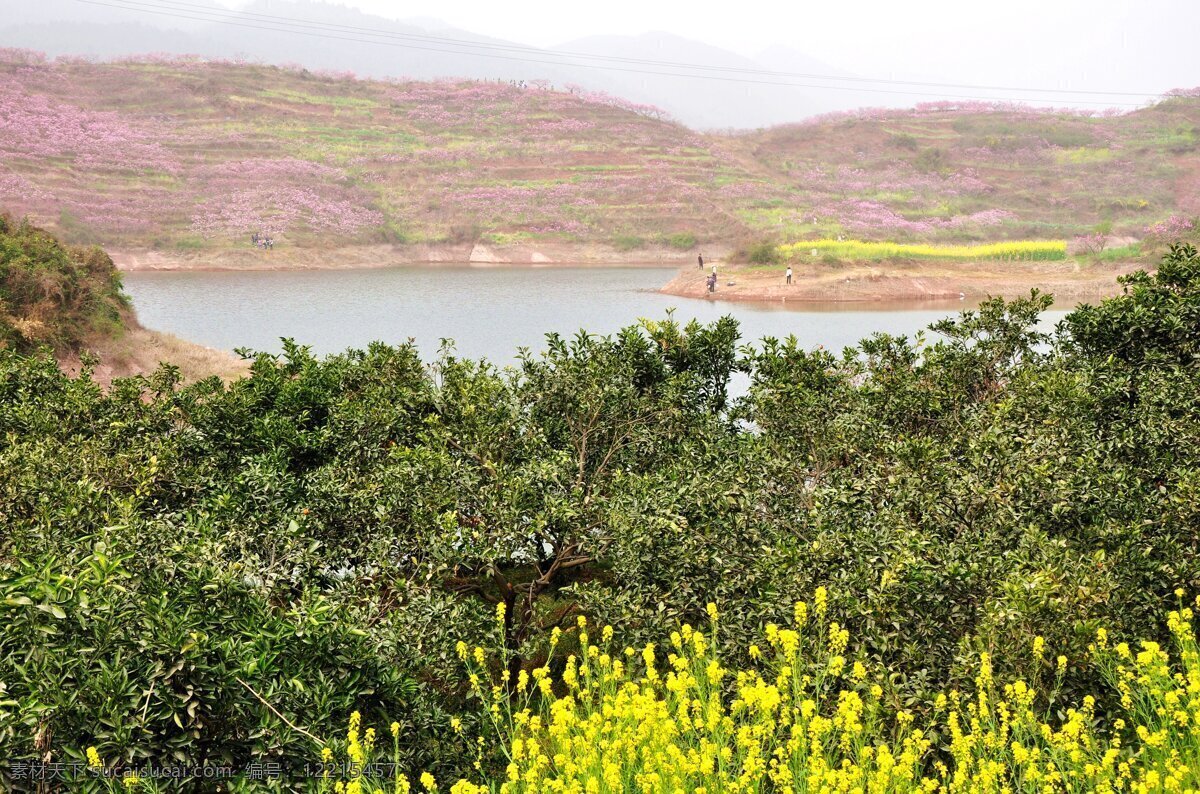 春色 花草 郊外 三月三 山水 山水风景 桃花 漫山红遍桃花 桃树 桃林 春桃 桃花节 山乡 桃山 桃乡 油菜花 桃花源 自然景观 psd源文件