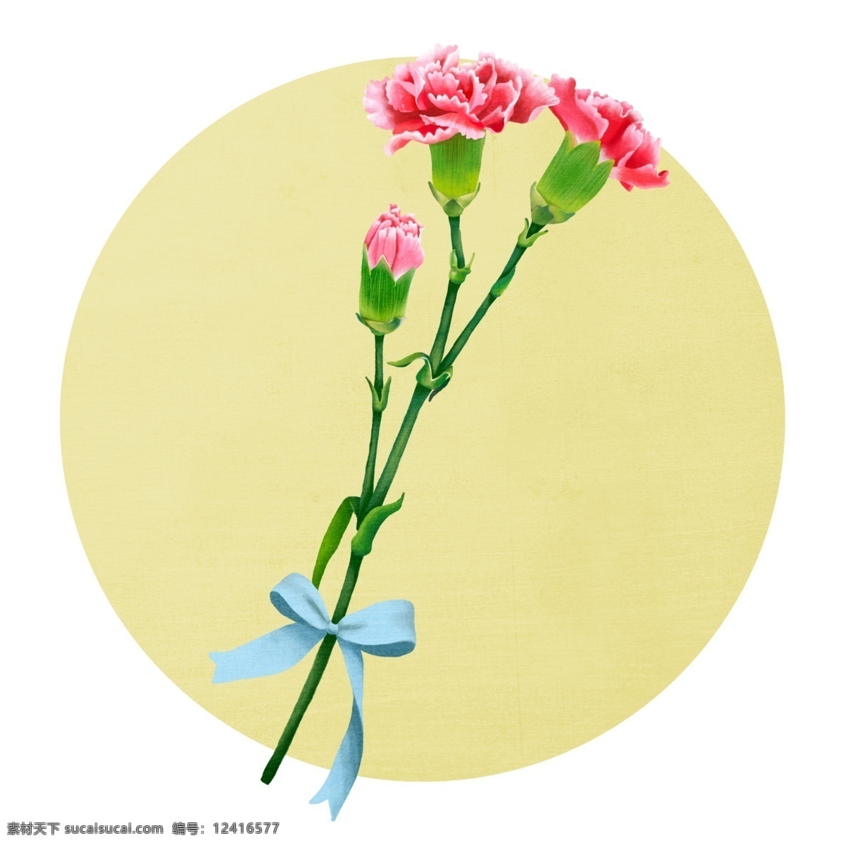 母亲节 康乃馨 手绘 风格 插画 母亲 花卉 花朵 花 植物 礼物 花束 节日