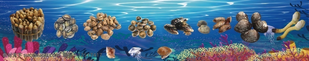 海鲜海报 蛤 鱼扇贝 竹节蛏 鲍鱼 海虹 麻蛤 牡蛎